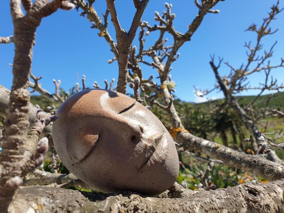 Casa Tara Ruhe Und Entspannung, Natur Pur Acardece المظهر الخارجي الصورة