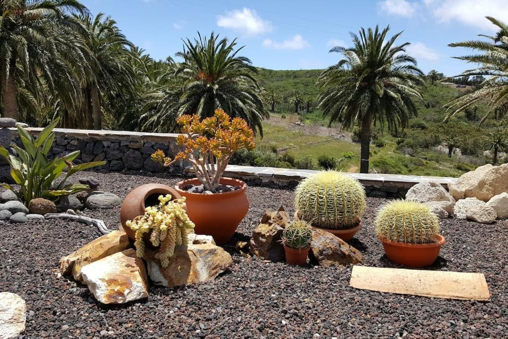 Casa Tara Ruhe Und Entspannung, Natur Pur Acardece المظهر الخارجي الصورة